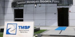 FETÖ darbe girişiminin ardından TMSF'ye devredilen şirketlerin bilançosu katlanarak artıyor