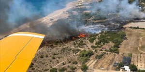 Manavgat'ta çıkan orman yangını kontrol altına alındı