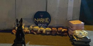 Narkotik köpeği 'Barbara' salça ve yağla kaplı paketlerde uyuşturucu buldu