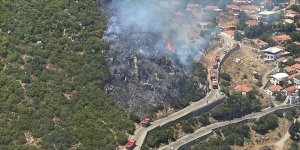 İzmir'in Kemalpaşa ilçesinde orman yangını çıktı!