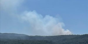 Muğla'da çıkan orman yangını söndürüldü