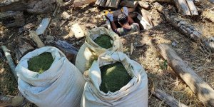 Diyarbakır'da 1 ton 530 kilogram esrar ve 2 milyon 850 kök skunk bitkisi ele geçirildi