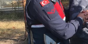 Ankara İl Jandarma Komutanlığı'nca yürütülen operasyonlarda çok sayıda şüpheli yakalandı