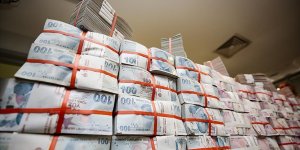 TCMB'nin TL depo alım ihalesine 101 milyar 953 milyon liralık teklif geldi