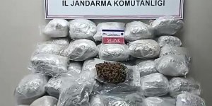 Elazığ'da tırın dorsesine gizlenmiş 138 kilogram skunk bulundu