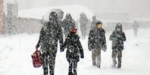 Olumsuz hava koşulları nedeniyle bazı il ve ilçelerde eğitime ara verildi