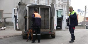 Sivas'ta köpeğin saldırdığı 2'si çocuk, 4 kişi yaralandı