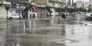 Şanlıurfa'da sağanak nedeniyle eğitime ara verildi