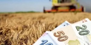 Çiftçilere tarımsal destek ödemesi bugün yapılıyor