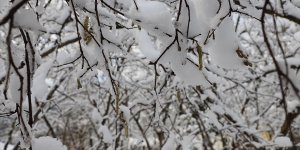 Meteorolojiden zirai don uyarısı