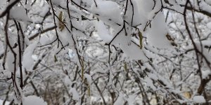 Meteorolojiden zirai don uyarısı