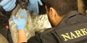 Kapıkule Gümrük Kapısı'nda 220 kilogram uyuşturucu ele geçirildi