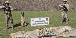 "Bozdoğan-28" operasyonlarında 82 mağara, sığınak ve barınma alanı imha edildi