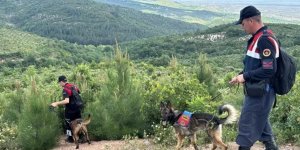 Ekonomist Korhan Berzeg'in Gönen'de evinin yakınındaki aramaların 5. günü de tamamlandı