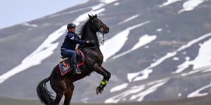 Atlı jandarma timi sınır hattındaki arazilerde devriyede