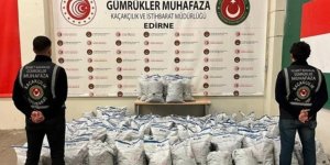 Kapıkule'de TIR'da 370 kilogram esrar ele geçirildi