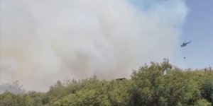 Manisa'nın Kula ilçesinde çıkan orman yangınına müdahale ediliyor