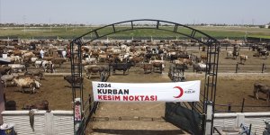 Türk Kızılay yurt içinde ve 19 ülkede kurban kesiyor