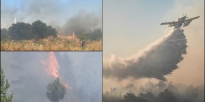 Çanakkale, Adana ve Balıkesir'deki yangınlara müdahale sürüyor