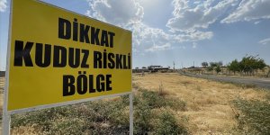 Şanlıurfa'da 1 mahalle kuduz nedeniyle karantinaya alındı