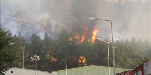 Gaziantep'te ormanlık alanda çıkarak barınma merkezine sıçrayan yangın kontrol altına alındı