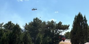 Kütahya'da ormanlık alanda çıkan yangın kontrol altına alındı