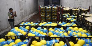 Mersin ve Kapadokya'da limon muhafaza edilen depolar denetlendi