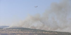 Kahramanmaraş'ta çıkan orman yangını kontrol altına alındı