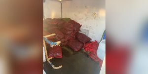 İstanbul'da 1 TON kaçak midye ele geçirildi!