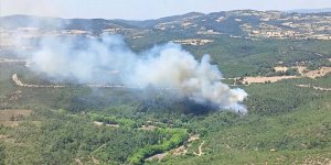 Balıkesir'de ormanlık alanda çıkan yangına müdahale ediliyor