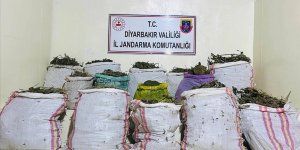Diyarbakır'da 1 milyon 123 bin 500 kök kenevir, 135 kilogram esrar ele geçirildi
