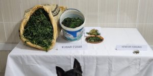 Kütahya’da uyuşturucu operasyonu: 4 şüpheli tutuklandı