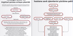 "Yenidoğan Çetesi"nin örgütsel şeması ortaya çıkarıldı!