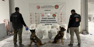 Gürbulak Sınır Kapısı'nda 4,5 tonu aşkın uyuşturucu yakalaması