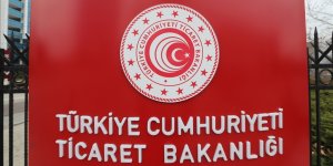 Ticaret Bakanlığı "e-İhracat Pazarları ve Ülke Gümrük Uygulamaları" rehberini yayımladı