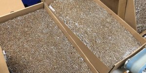 Kocaeli'de 891 bin makaron ele geçirildi!