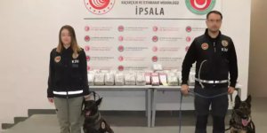 İpsala Gümrük Kapısı'nda Uyuşturucu Operasyonu