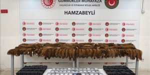 Hamzabeyli Sınır Kapısı'nda 155 samur postu ve 239 akıllı cep telefonu ele geçirildi
