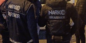 Diyarbakır'da yılbaşı öncesi 500 polisin katılımıyla "narko-kapan" uygulaması