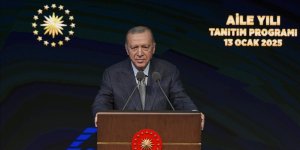 10 soruda "AİLE YILI" desteklerinin merak edilenleri