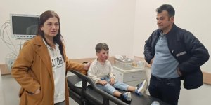 7 yaşındaki çocuk, oyun parkında başıboş köpeğin saldırısına uğradı
