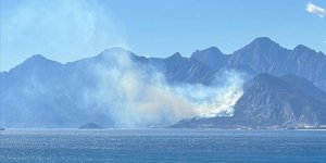 Antalya'da ormanlık alanda çıkan yangına müdahale ediliyor