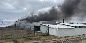 Edirne'de fabrikada çıkan yangın söndürüldü