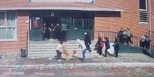 Ümraniye'de okulun bahçesinde öğrencilere ve öğretmene saldıran köpeğin sahibi gözaltına alındı