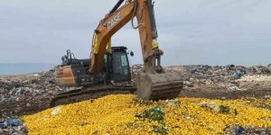 Pestisit tespit edilen Dubai’ye ihraç edilecek 71 ton limon imha edildi