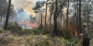 Antalya'da ormanlık alanda çıkan yangına müdahale ediliyor