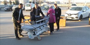 Konya'da sahipsiz köpekten kaçarken düşen çocuk yaralandı