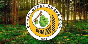 Orman Genel Müdürlüğü 252 daimi işçi istihdam edecek