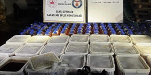 Karadeniz'deki balıkçı teknesinde 1 ton 240 kilogram kaçak bal ele geçirildi!