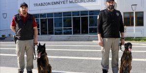 Trabzon'da hassas burunlar "Maya" ve "Liya" uyuşturucuyla mücadelede önemli rol alıyor